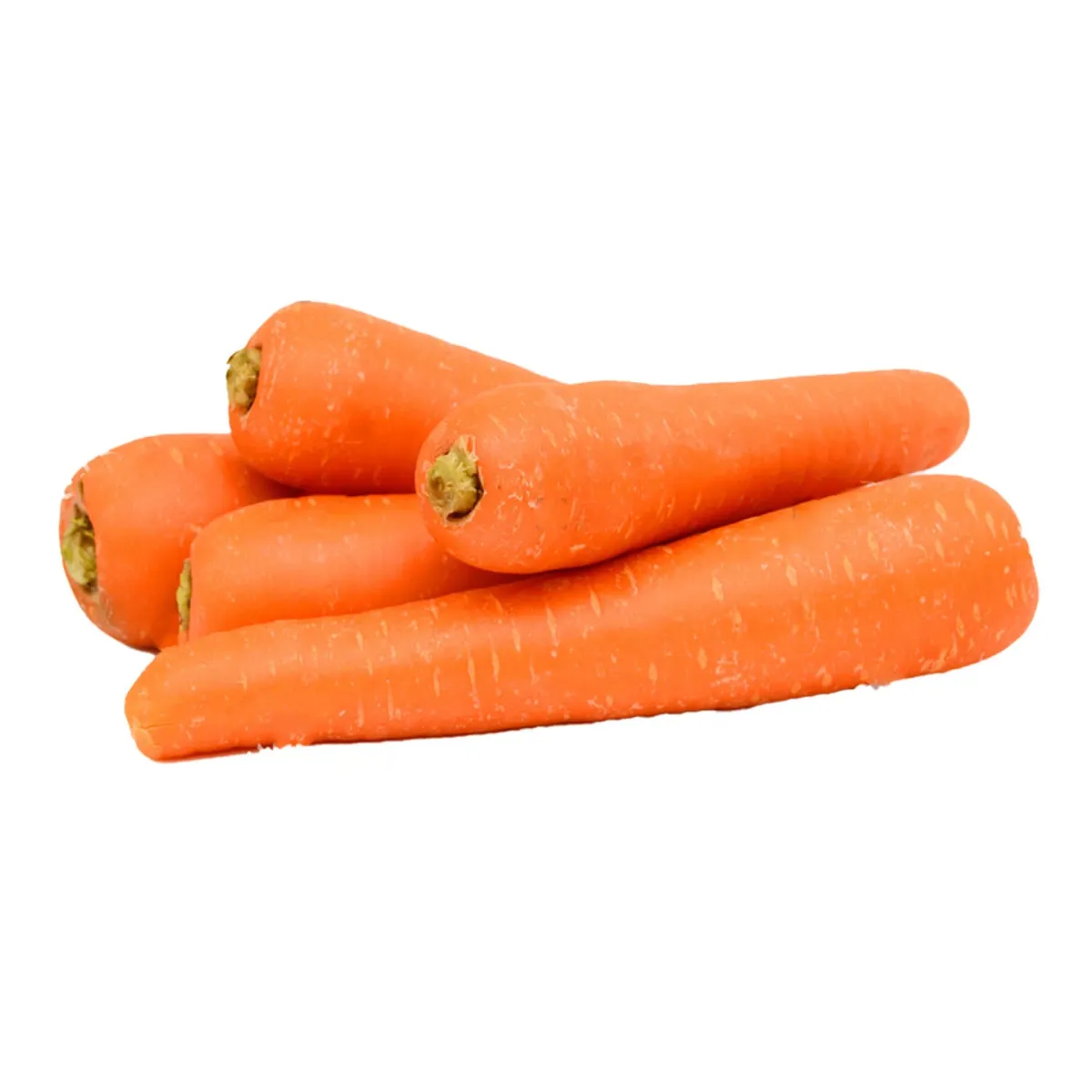 Carrot 2