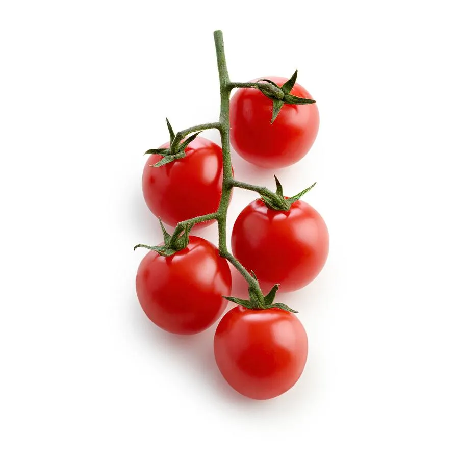 Tomato 3
